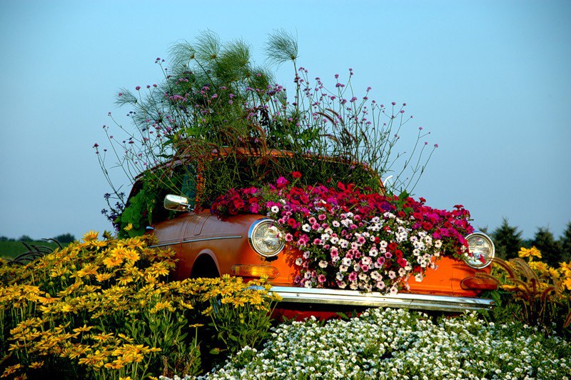 Flower car. Машина с цветами. Клумба автомобиль. Машина цветник. Клумба из старой машины.