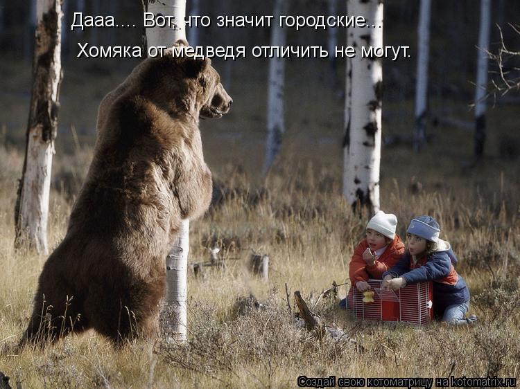 Котоматрица: Дааа.... Вот, что значит городские... Хомяка от медведя отличить не могут.